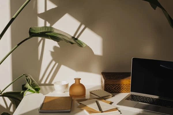 Home office com luz natural, plantas e objetos sustentáveis